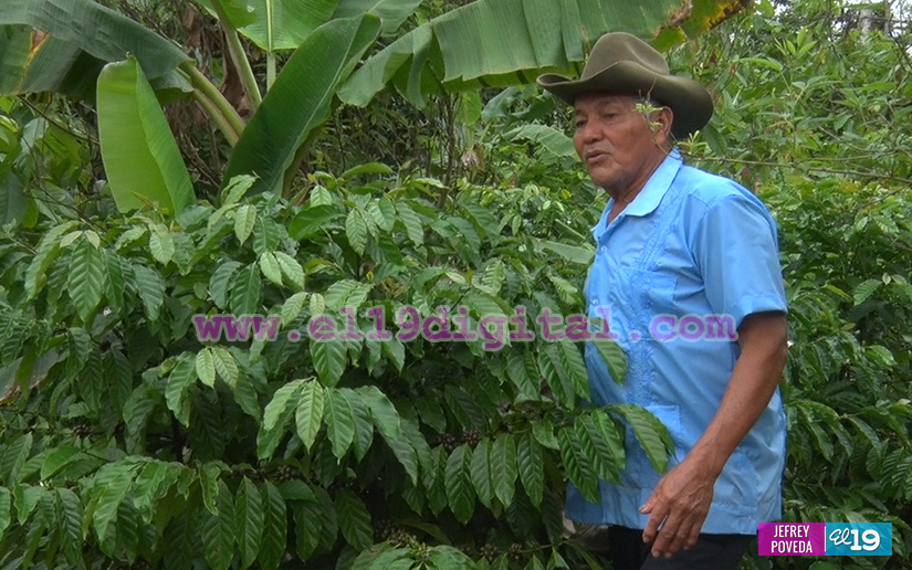 finca